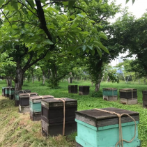 和漢発酵化粧水 香り:無香料
