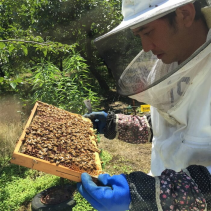 和漢発酵美容乳液 香り:アロマブレンド