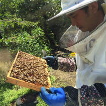 和漢発酵美容乳液 香り：アロマブレンド