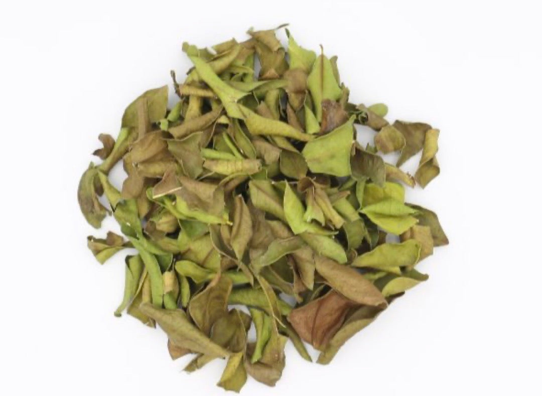五行YOJO茶　巡木　（木・春）10包缶入り　＊1包=2g