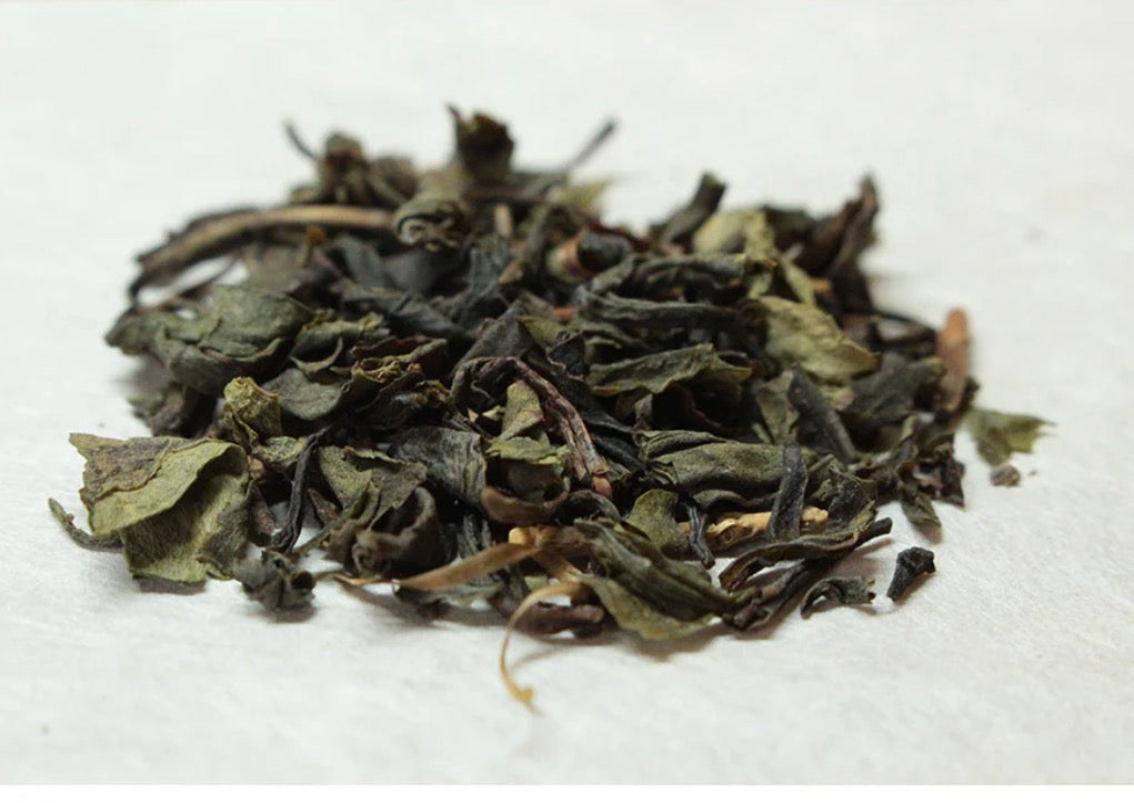 五行YOJO茶　巡木　（木・春）10包缶入り　＊1包=2g