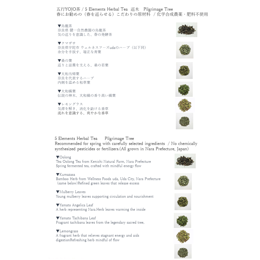 五行YOJO茶　巡木　（木・春） 1包入り（トライアル）　＊1包=2g