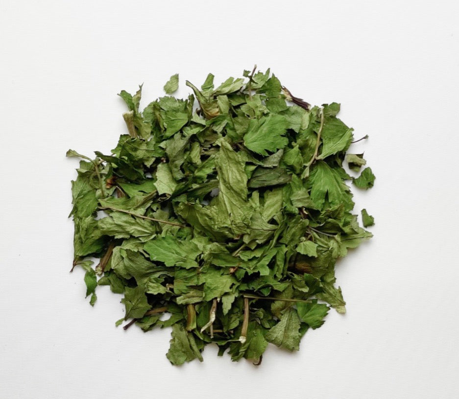 五行YOJO茶　巡木　（木・春）10包缶入り　＊1包=2g