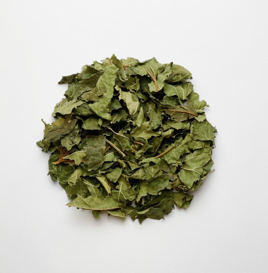 五行YOJO茶　巡木　（木・春）10包缶入り　＊1包=2g
